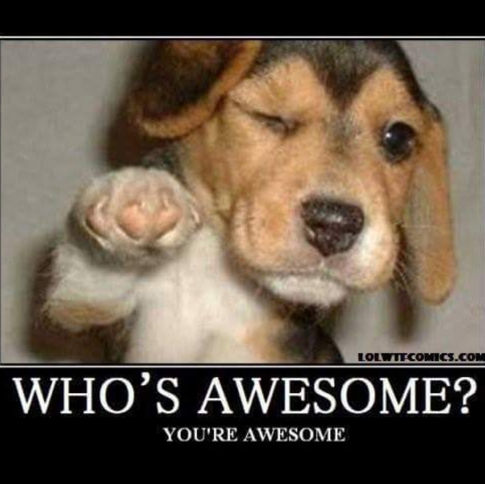 Meet your Posher, Oscar